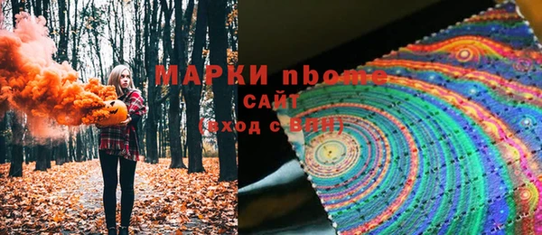 мдпв Абаза