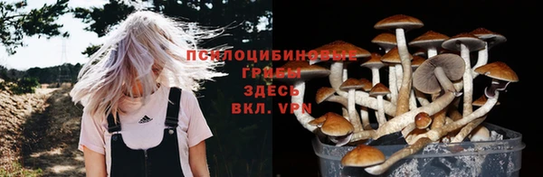 каннабис Алзамай