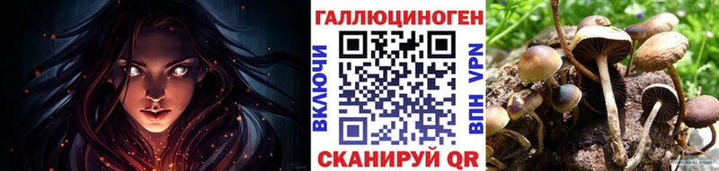 закладки Красково Галлюциногенные грибы Psilocybe